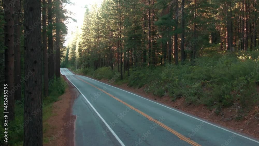 Aerial: Calm tranquil forest and empty highway, Mt Shasta, California, USA Aerial: Calm tranquil forest and empty highway, Mt Shasta, California, USA