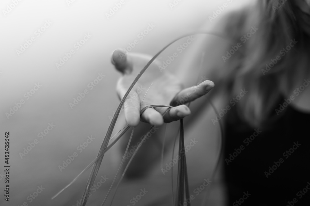hand and branch of a plant, black and white aesthetics, beautiful blurred soft focus