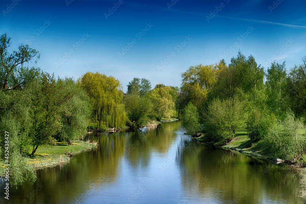 Tranquil river meandering through woodland trees in spring
