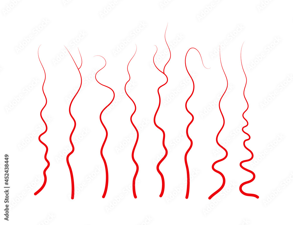 Set of human veins and arteries. Red blood vessels and capillaries. Vector illustration isolated on white background.