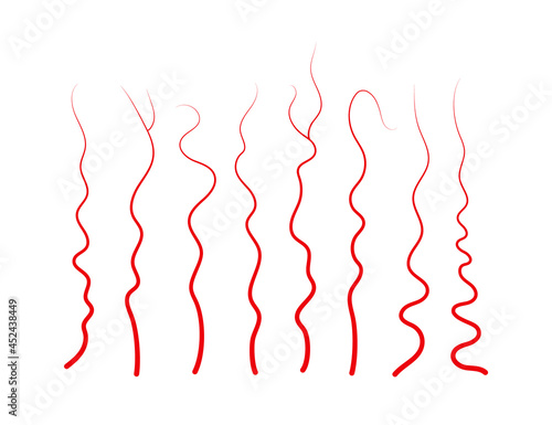 Set of human veins and arteries. Red blood vessels and capillaries. Vector illustration isolated on white background.