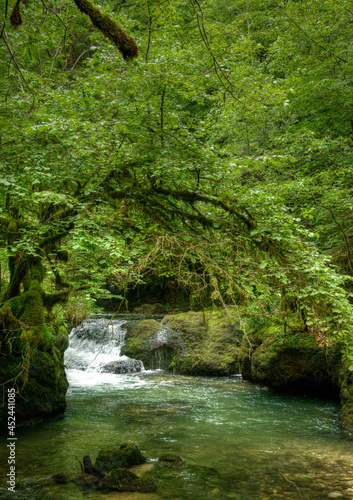 Le Dessoubre dans le cirque de Consolation  Doubs  France