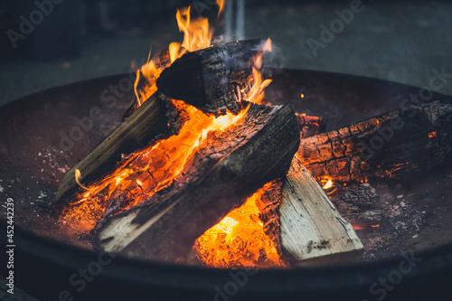 Campfire in Wintertimes