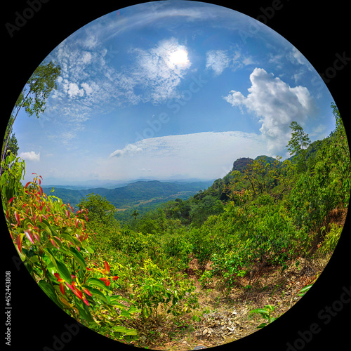 Fish-Eye photograph of upper mountain in Sri Lanka.