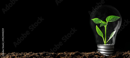 Concept image of a light bulb on the ground with a plant inside