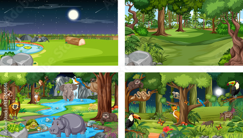 Different nature scenes of forest and rainforest with wild animals