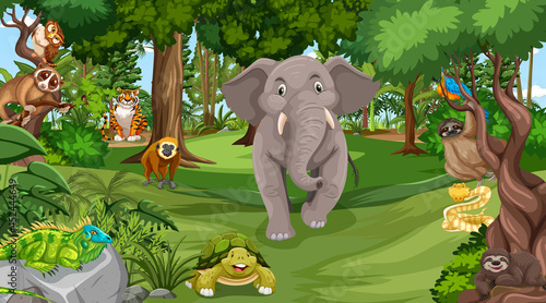 Forest at daytime scene with many different wild animals