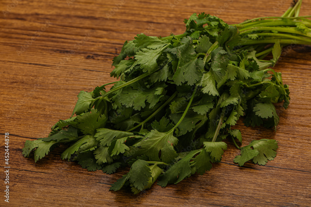 Green coriander or cilanto leaves heap Green coriander or cilanto leaves heap
