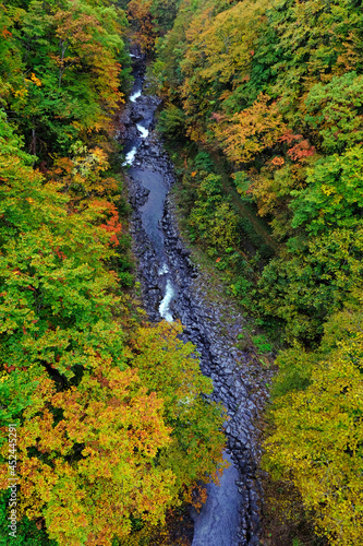 裏磐梯 中津川渓谷の秋の風景