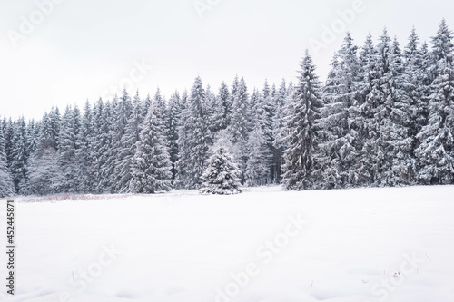 Landscape in the winter