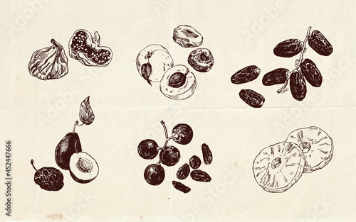Hand drawn illustration, vintage drawing of dried fruits photo