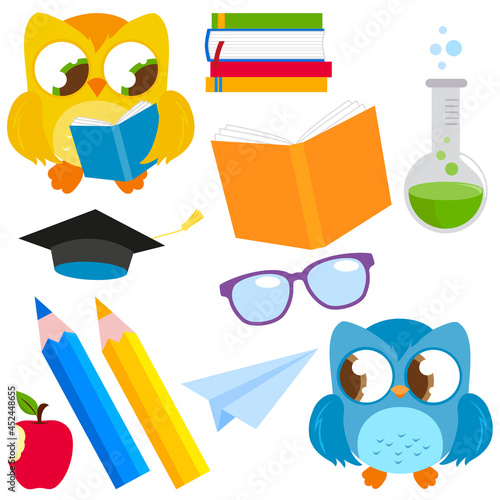 School objects and cute student owls. Vector illustration set.