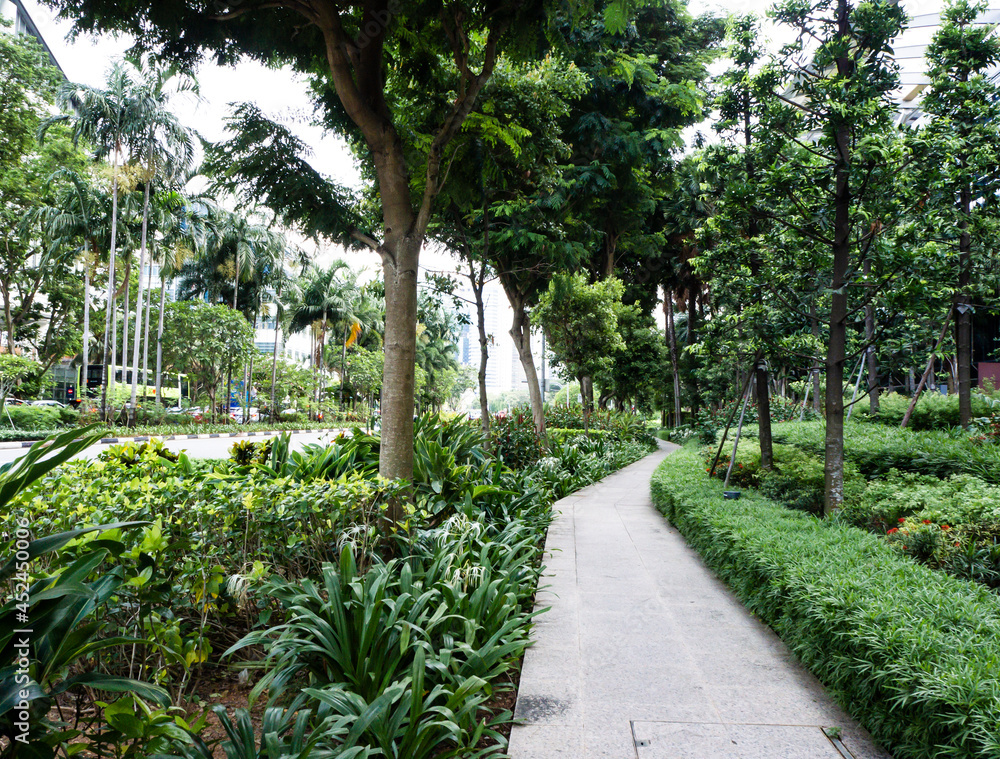 Scenic walkway in the city amongst trees and greenery