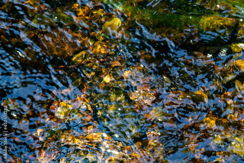 Small and fast stream in the old forest. Small and fast stream in the old forest.