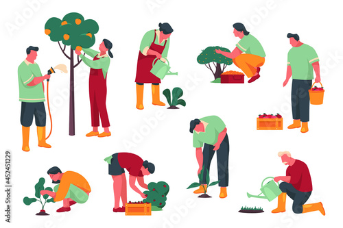 People or characters pick harvest or crop. Gardener or farmer gathering a ripe crop from the field or garden, watering and planting garden bed. Farming or agricultural activity, harvesting season