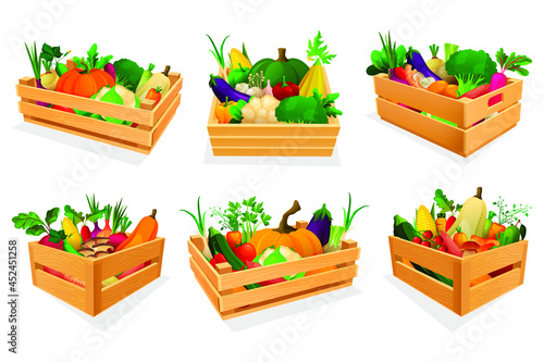 Mixed vegetable and greens in wooden boxes at market place or store. Isolated icons of fresh farm products. Eco food, healthy nutrition. Retail trade and wholesale, purchase and delivery theme.