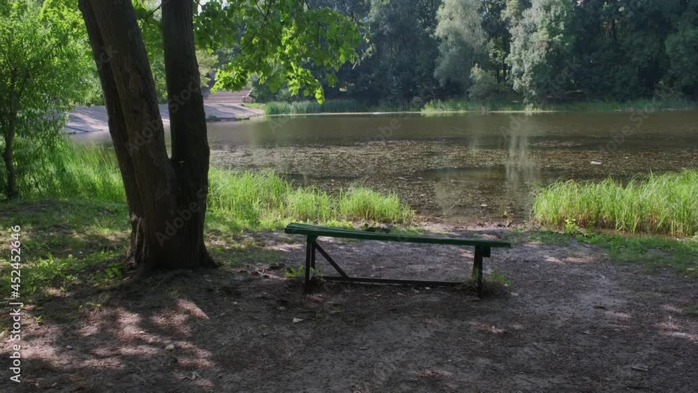 Lake with bench and nature Lake with bench and nature