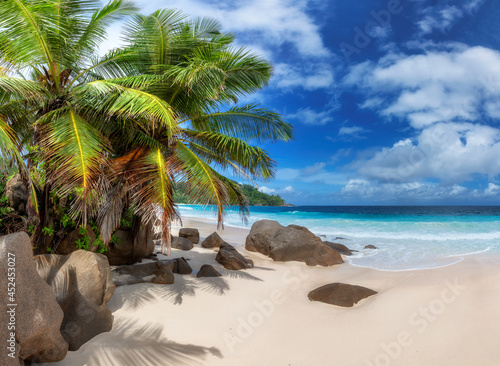 Beautiful beach with palm trees on white sand and tropical sea. Summer vacation and tropical beach concept. 