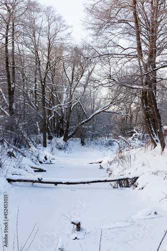 a narrow river in the forest in winter