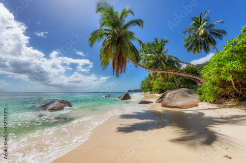 Exotic paradise Sunny beach with palms and tropical sea. Summer vacation and tropical beach concept. 