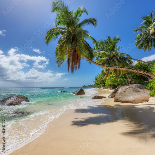 Fototapeta Naklejka Na Ścianę i Meble -  Tropical paradise beach. Sandy beach with palm and turquoise sea. Summer vacation and tropical beach concept.	
