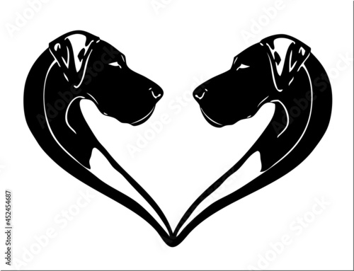 Great Dane in heart shape