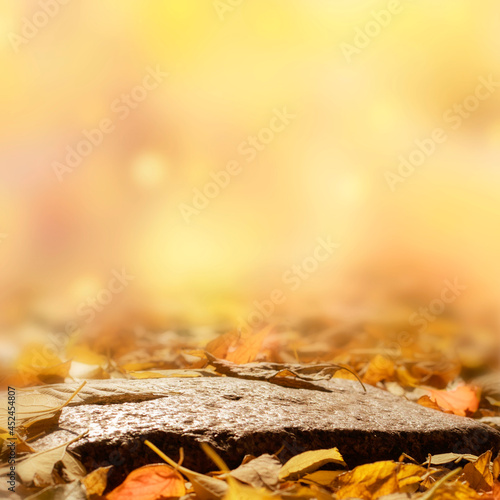 Autumn background with leaves. Natural podium on a blurred autumn background.