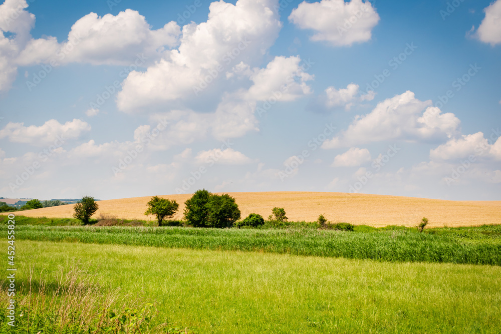 Fields in the hungarian countryside in summer