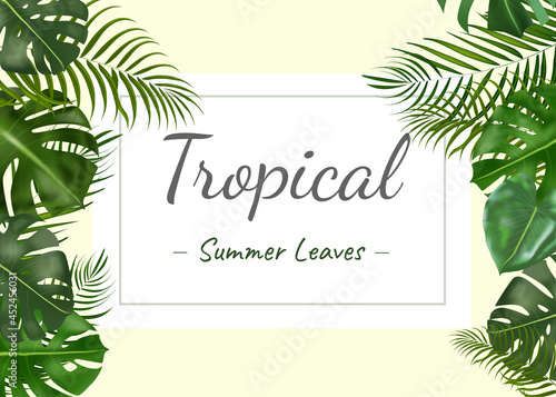 Vector horizontal tropical summer leaves banners on white background. Exotic botanical design for cosmetics