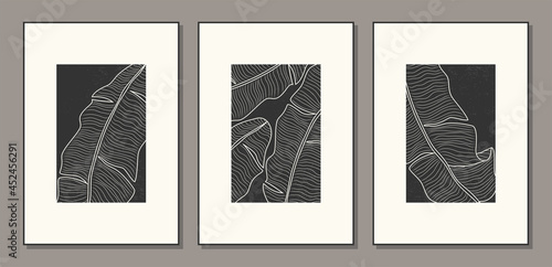 Set of minimalist botanical line art with banana palm leaves, abstract collage