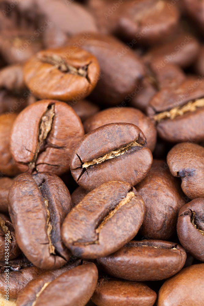 coffee beans in raw or roasted form coffee beans in raw or roasted form