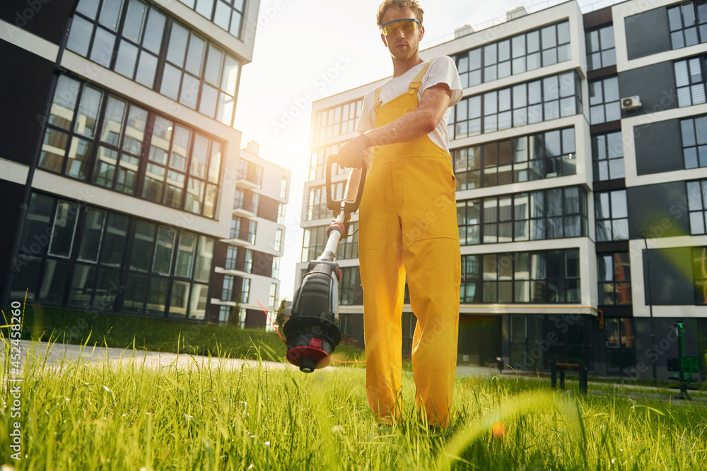 Fototapeta premium Beautiful sunshine. Man cut the grass with lawn mover outdoors in the yard
