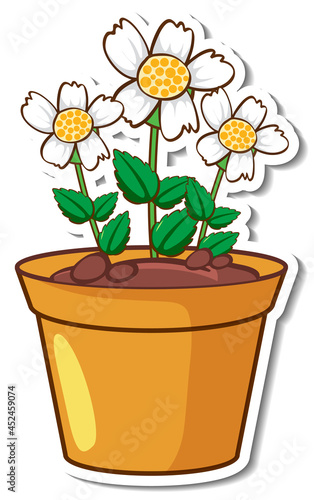 White grass flowers in a pot sticker