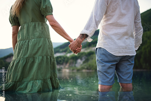 Rear view of mature couple in love standing in nature, holding hands.