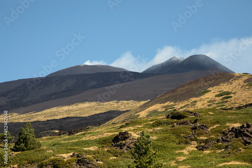Cratere dell'Etna visto dal paesaggio del bosco tra colate di lava e sfondo di cielo blu in Sicilia