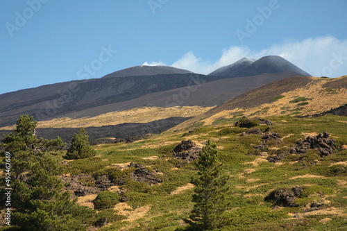 Paesaggio con bosco sull' Etna tra colate di lava e vista sul Cratere con sfondo - Vacanze Sicilia