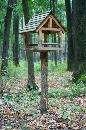 Feeder for squirrels and wild animals in the forest.