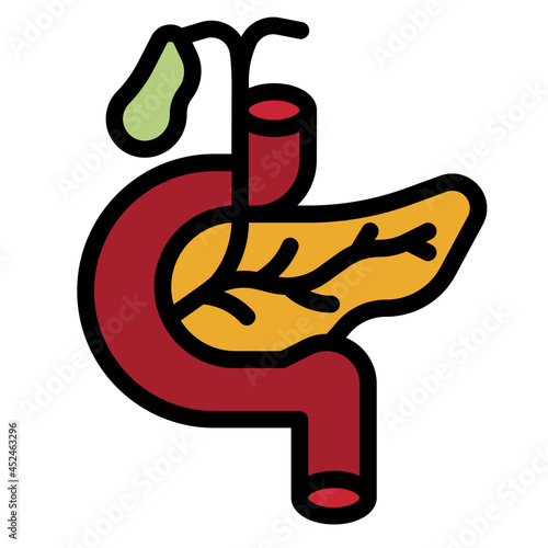 pancreas