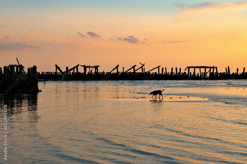 Mystische Stimmung - Sonnenuntergang mit einem Hund  und einer alten Seebrücke an der Ostsee an der litauischen Küste
