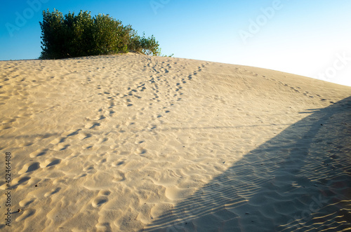 Sandy hills on the beach against the backdrop of green bushes.