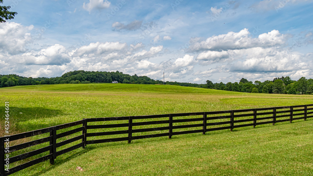 Farm at Leipers Fork in Tennessee - LEIPERS FORK, TENNESSEE - JUNE 18, 2019