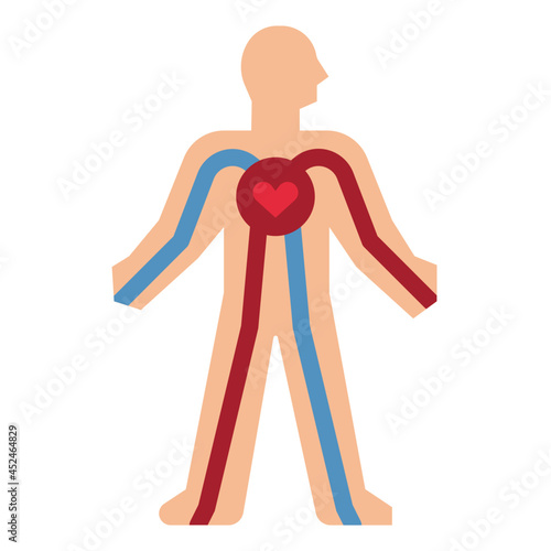 circulatory
