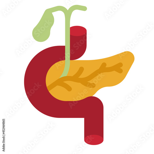 pancreas