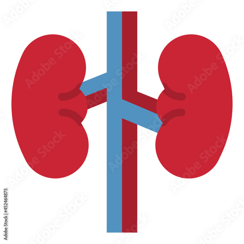 kidney