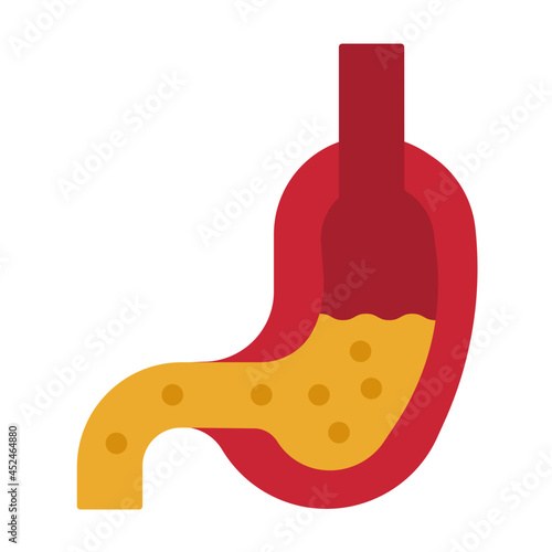 stomach