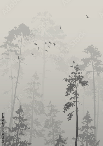 Vector background  with a flock of birds flying over the pine forest. Neutral tones. 