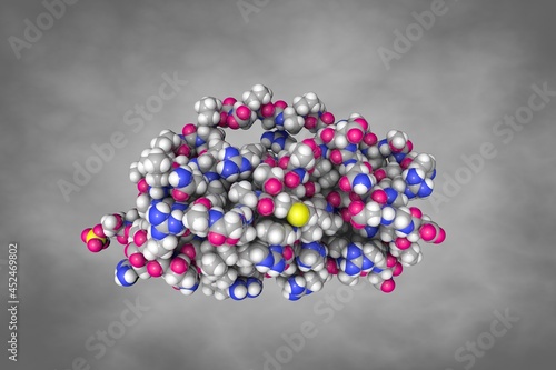 Space-filling molecular model of human interleukin-11. Atoms are shown as color-coded spheres: carbon (grey), hydrogen (white), oxygen (red), nitrogen (blue), sulfur (yellow). 3d illustration