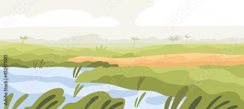 Agriculture rice field landscape. Asian farm land with crop and water. Indian farmland in summer. Plantation panorama with sky, mist and grass. Colored flat vector illustration of rural scenery