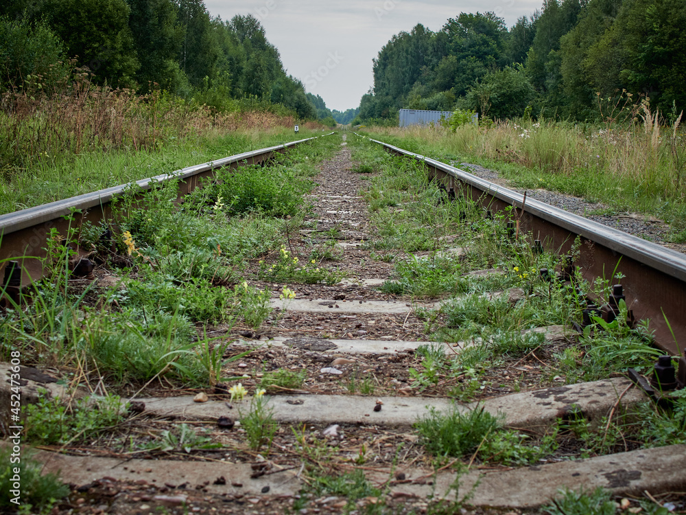 railway in the forest