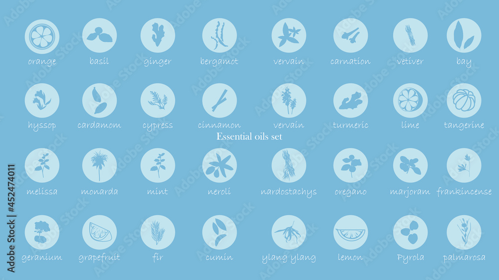 A large set of essential oil icons. Plants for aromatherapy. Oil icons for stores and magazines. The best herbs for aromatherapy. Set of medicinal plants. Vector collection for perfumes and cosmetic. A large set of essential oil icons. Plants for aromatherapy. Oil icons for stores and magazines. The best herbs for aromatherapy. Set of medicinal plants. Vector collection for perfumes and cosmetic.